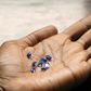 Tanzanite is prized by gem-makers for its extraordinary violet-blue hue. The gems seen here were mined in 2006, when they were valued at around $1,500