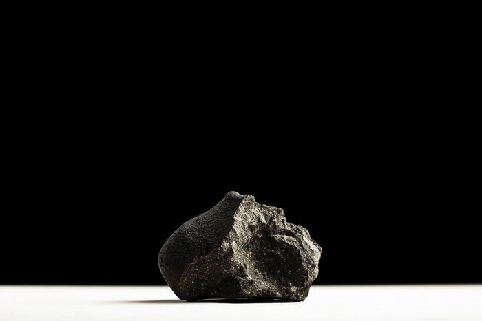 These Auction Items Are Out of This World. No, Really.