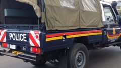 File image of a police vehicle.