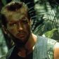 Arnold Schwarzenegger Returns to 'Predator' Series