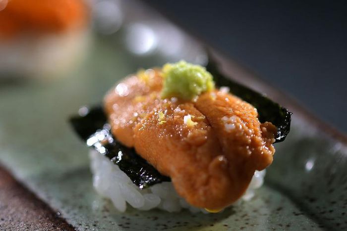 Dr. Pimple Popper Pops Out an 'Uni Sashimi' Lipoma