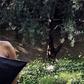 Halle Berry Just Rocked The Pillow Challenge