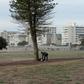 A homeless man stands with some of his belongings at a usually busy promenade in Capetown, now mostly deserted because of the coronavirus lockdown