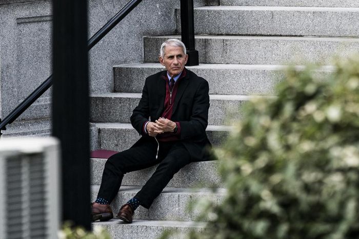 Biden and Trump Speak About Coronavirus