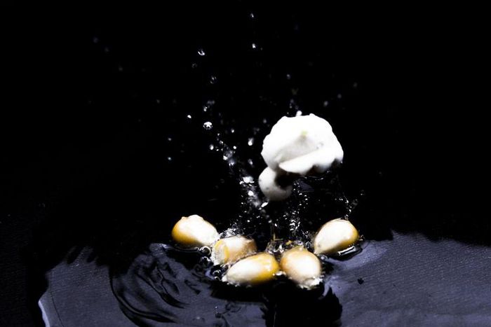 Dr. Pimple Popper Asks Fans: Cysts or Blackheads?