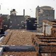 Residential areas in the state capital Jaipur were overwhelmed by locusts