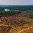 Handout picture released by the Communication Department of the State of Mato Grosso showing deforestation in the Amazon basin in the municipality of Colniza, Mato Grosso state, Brazil, on August 29, 2019.