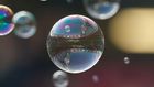 Dr. Pimple Popper Popped 'Bubble' Lipomas