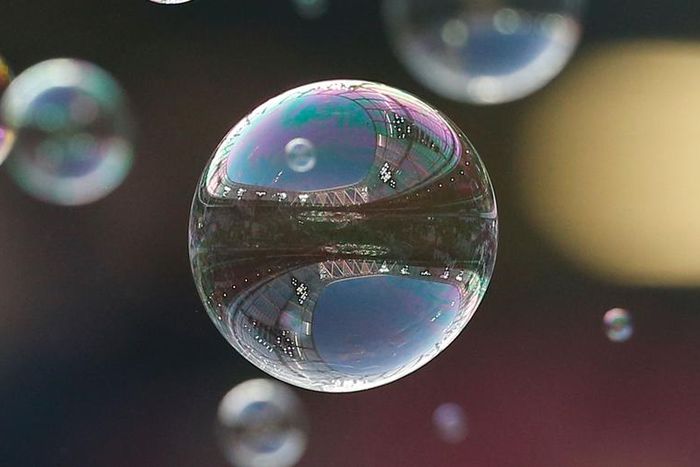 Dr. Pimple Popper Popped 'Bubble' Lipomas