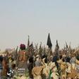 The semi-desert African region has seen years of conflict with Islamic militants