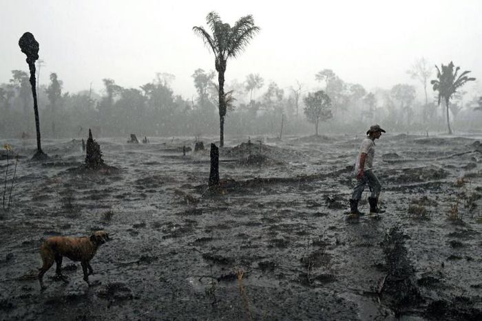 In this file photo taken on August 26, 2019 Brazilian farmer Helio Lombardo Do Santos and a dog walk through a burnt area of the Amazon rainforest, near Porto Velho, Rondonia state, Brazil