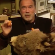 Arnold Schwarzenegger Wants People to Stay Home