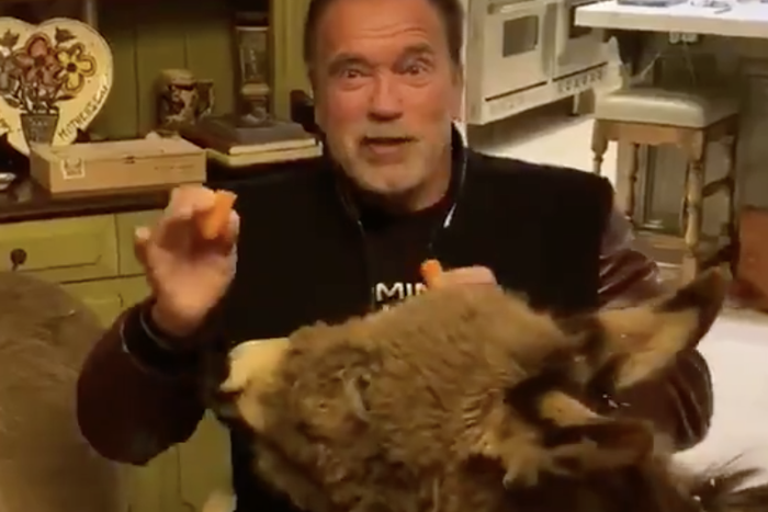 Arnold Schwarzenegger Wants People to Stay Home