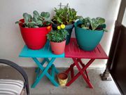 Balcony vegetable garden (Fine Gardening Magazine)