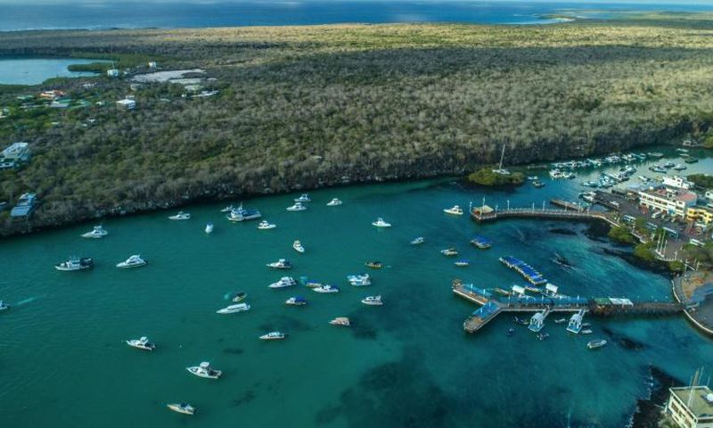 Galapagos authorities are desperately hoping for a revival of the vital tourism industry -- the main engine of the local economy -- once visitors are allowed to fly in again