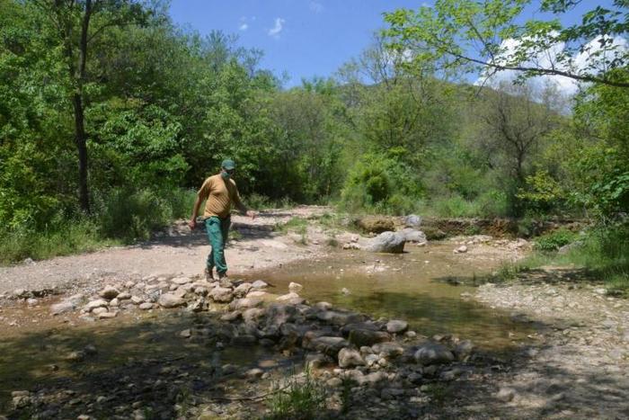 Rangers in Pakistan's Margalla Hills National Park have seen animal activity increase since a coronavirus lockdown was introduced