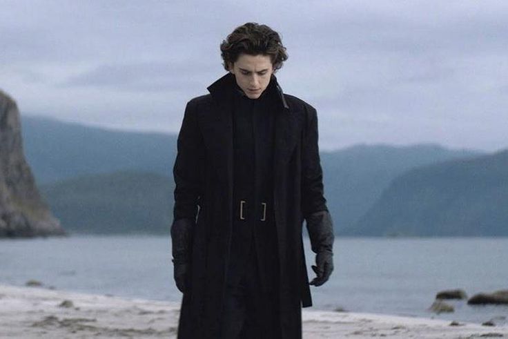 Timotheé Chalamet Looks Super Cool in 'Dune'