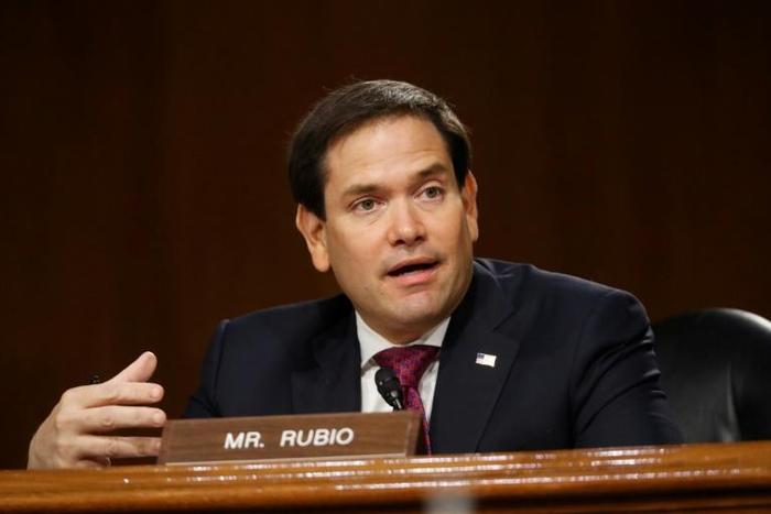Republican Senator Marco Rubio was named to temporarily chair the US Senate Intelligence Committee