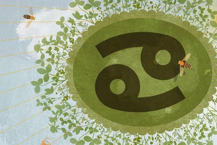 5 Signs You're Totally A Cancer