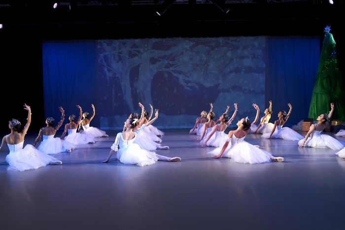 A Ballet School Rehired an Embezzler. Then $1.5 Million Vanished.