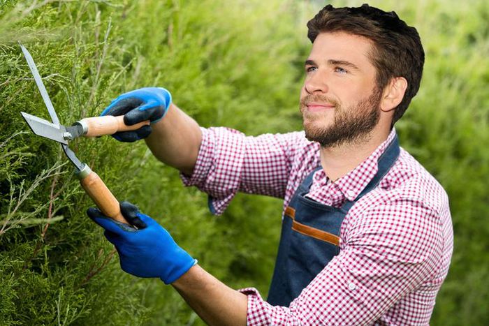 Liam Hemsworth Almost Became a Landscaper