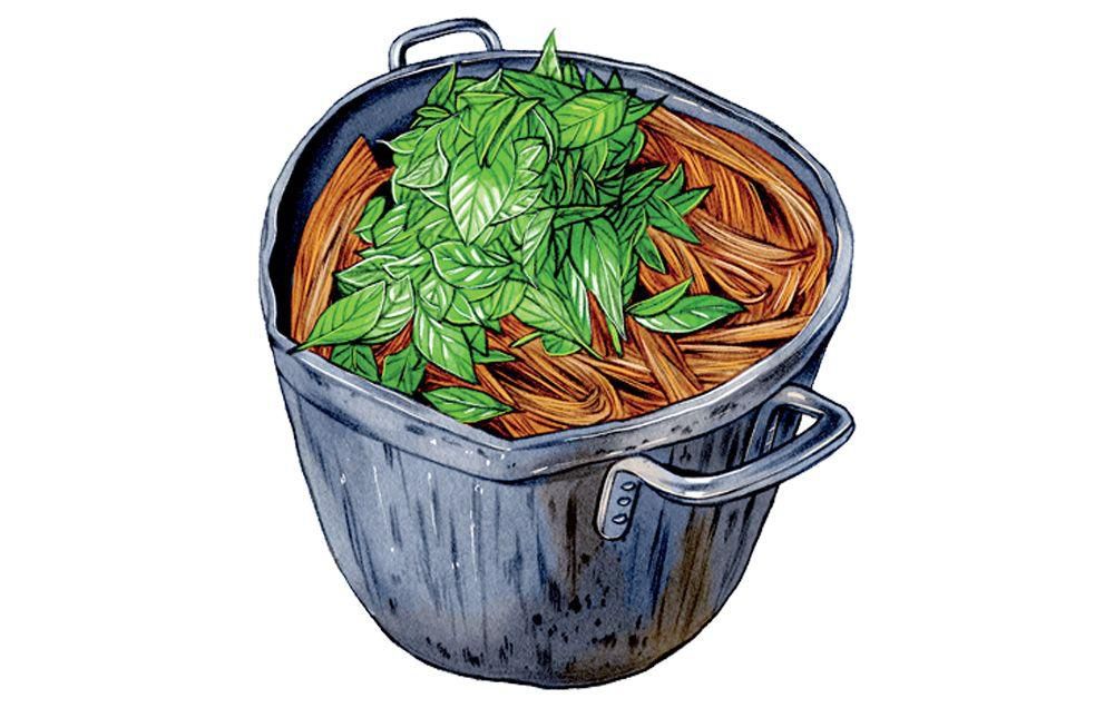 psychedelics drugs treat anxiety