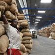 Big export losses as Asian demand dries up