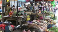 A market in Gabon's capital where bushmeat is sold, including pangolins, whose popularity has plummeted since it was blamed for transmitting coronavirus to humans