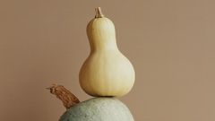 Dr. Pimple Popper Pops a 'Gourd-Like' Scalp Cyst