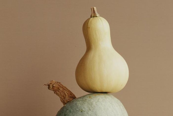 Dr. Pimple Popper Pops a 'Gourd-Like' Scalp Cyst