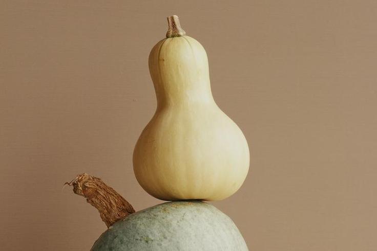 Dr. Pimple Popper Pops a 'Gourd-Like' Scalp Cyst
