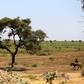 According to the UN, the conflict in Darfur has resulted in about 300,000 deaths and more than 2.5 million displaced people since 2003
