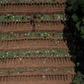 Vila Formosa cemetery on the edge of Sao Paulo, Latin America's largest, is bracing for a surge in burials