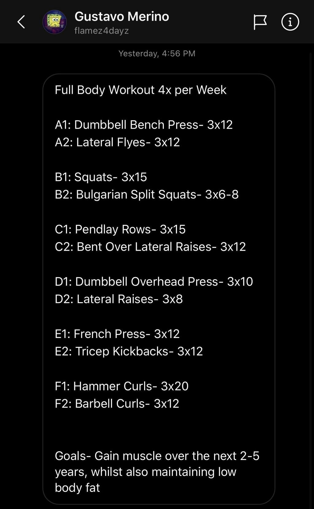 gustavo merino's workout, detailed in a screenshot, along with his goals