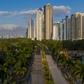 A highway in Panama City was completely empty on March 25, 2020