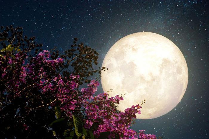 What May's Full Moon In Scorpio Means For You