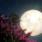 What May's Full Moon In Scorpio Means For You