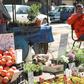 Syrian residents of Damascus like florist Abdelqader Qasem are still struggling to rebuild their lives as the conflict that has devastated the country enters its 10th year
