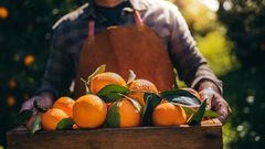 These Are the 11 Best Fruits for Weight Loss