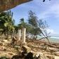 Damage caused by Harold near Vanuatu's capital Port Vila is shown on April 7. The storm is now moving towards Fiji