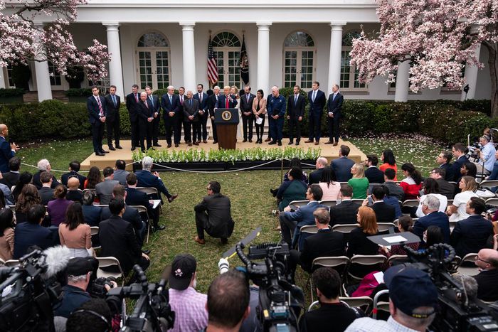 On a Saturday Night in Florida, a Presidential Party Became a Coronavirus Hot Zone