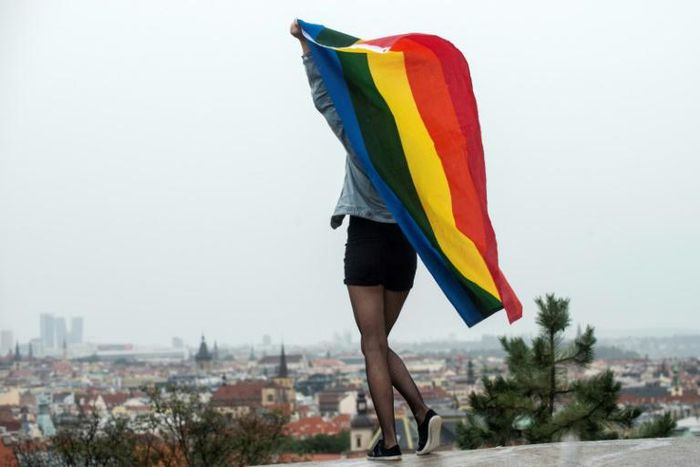 Gay 'conversion therapy' can inflict lasting harm, a UN expert says