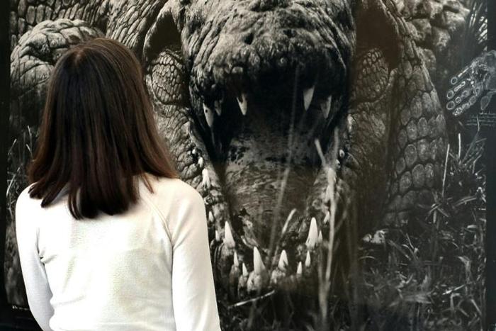 A woman observes the photograph titled "Large Crocodrillos" by Peter Beard at Sotheby's in 2008 for the Quillan Collection of Nineteenth and Twentieth Century Photographs