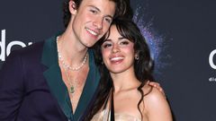 Meet Camila Cabello's Boyfriends