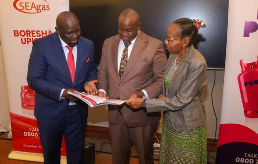 Launch of Proto Energy's 2025 Sustainability Report