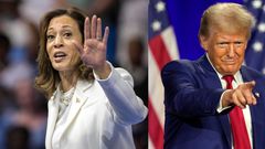 Vice President Kamala Harris and former President Donald Trump remain locked in a tight race in the swing states.AP Images