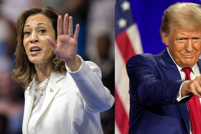 Vice President Kamala Harris and former President Donald Trump remain locked in a tight race in the swing states.AP Images