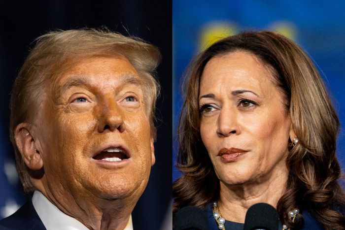 Donald Trump and Kamala HarrisJim Vondruska and Brandon Bell/Getty Images