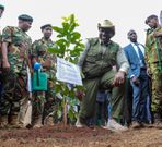 President William Ruto plants a tree during the launch of the National Programme for accelerated forestry and rangelands restoration on December 16, 2022. Photo courtesy of PPS