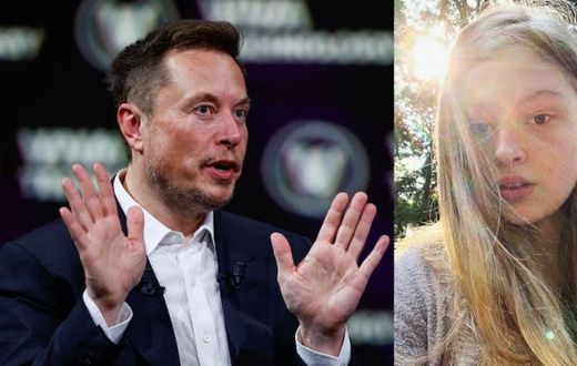A collage image of Elon Musk and Vivan Jenna Wilson